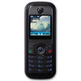 Motorola W205