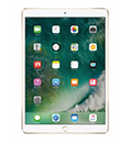 iPad Pro 10.5 inch 256GB (T-Mobile)