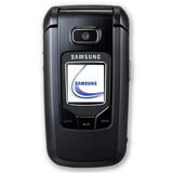 Samsung SGH-Z310